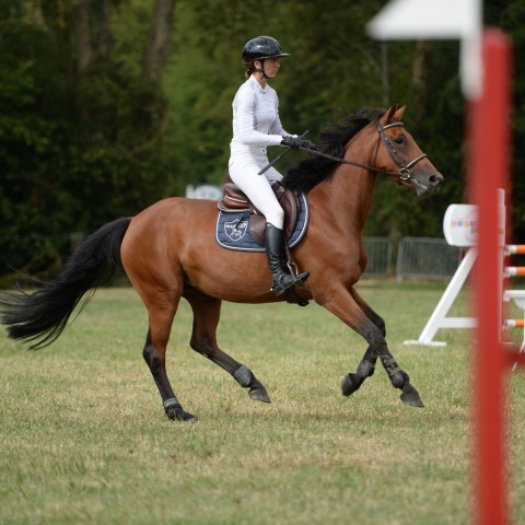 02 - Pro 3 Grand Prix 1m25