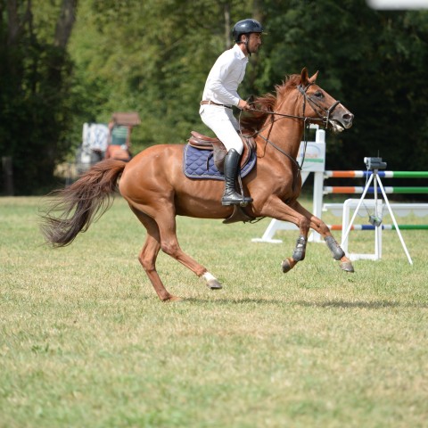 02 - Pro 3 Grand Prix 1m25