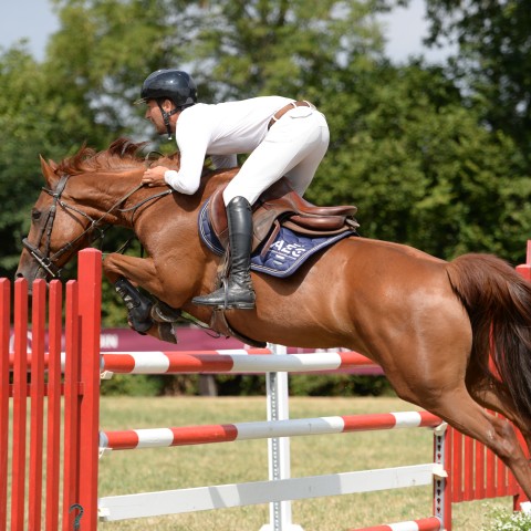 02 - Pro 3 Grand Prix 1m25
