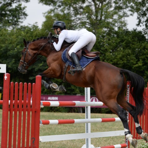 02 - Pro 3 Grand Prix 1m25