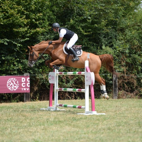 03 - Pro 2 Grand Prix 1m35