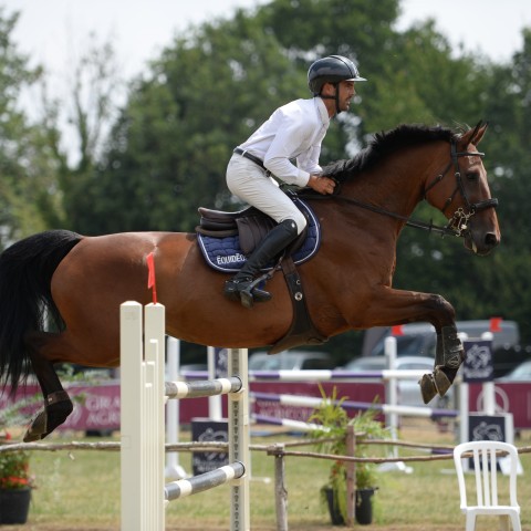 03 - Pro 2 Grand Prix 1m35