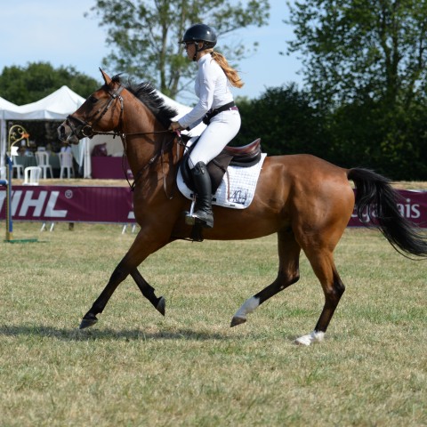 05 - Cycle Libre 1 0m95