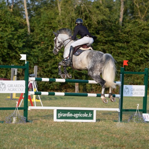 09 - Pro 2 Grand Prix 1m30