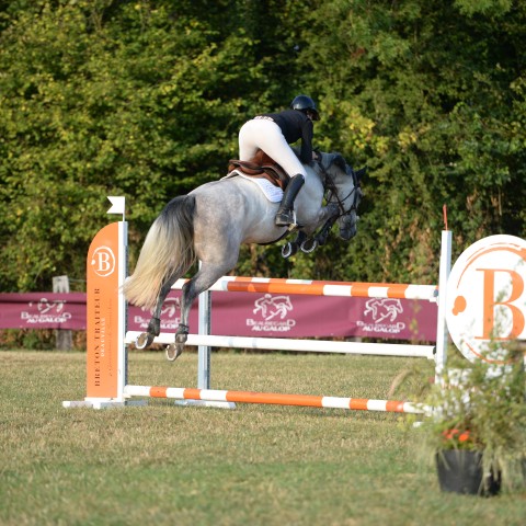 09 - Pro 2 Grand Prix 1m30