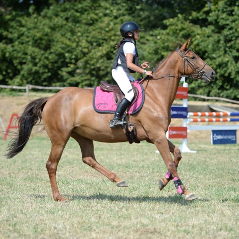 10 - Amateur 2 Grand Prix 1m05