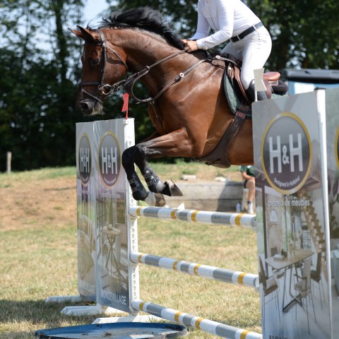 10 - Amateur 2 Grand Prix 1m05