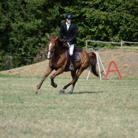 10 - Amateur 2 Grand Prix 1m05