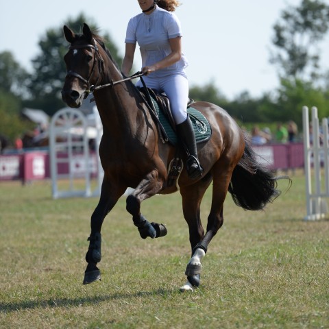10 - Amateur 2 Grand Prix 1m05