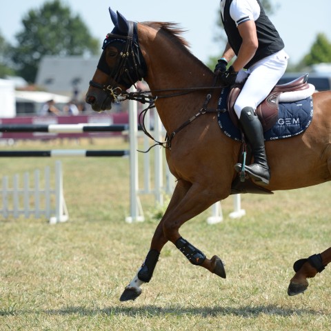 11 - Pro 1 Grand Prix 1m40