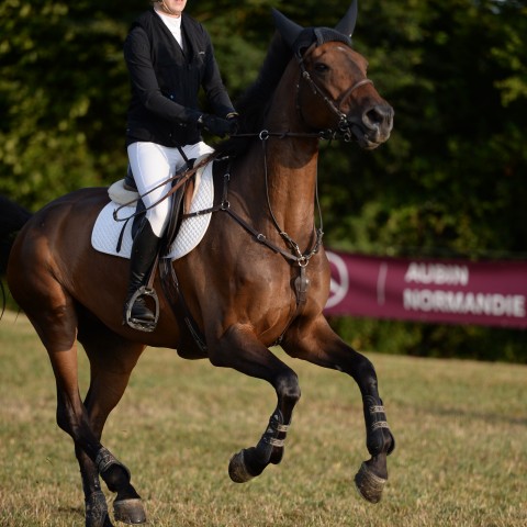14 - Pro 2 Grand Prix 1m30