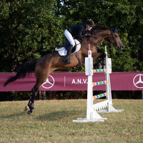14 - Pro 2 Grand Prix 1m30