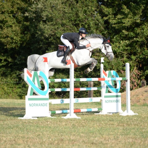 14 - Pro 2 Grand Prix 1m30