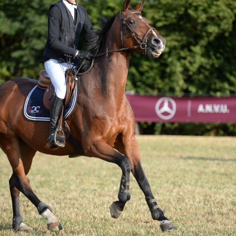 14 - Pro 2 Grand Prix 1m30