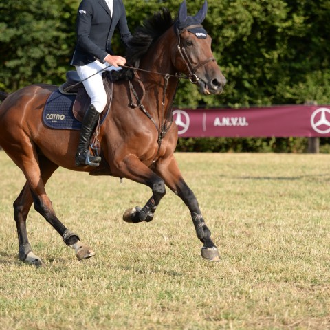 14 - Pro 2 Grand Prix 1m30