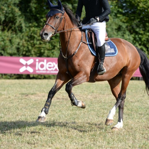 15 - Amateur Elite Grand Prix 1m25