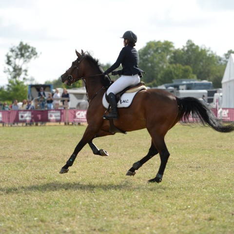 15 - Amateur Elite Grand Prix 1m25