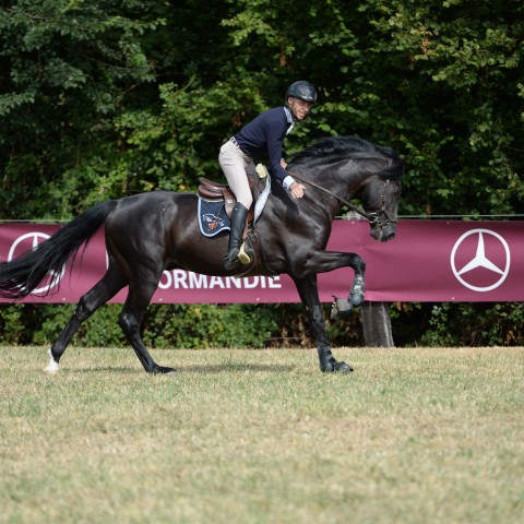 15 - Amateur Elite Grand Prix 1m25