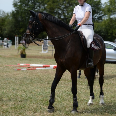 16 - Amateur 1 Grand Prix 1m15