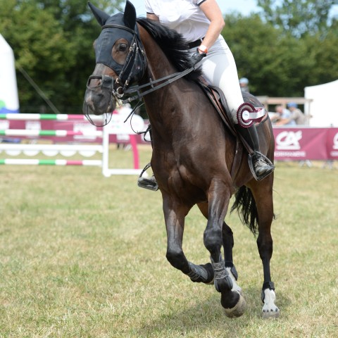 16 - Amateur 1 Grand Prix 1m15