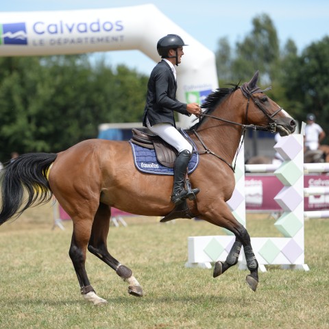17 - Pro 1 Grand Prix TOP 7 1m40