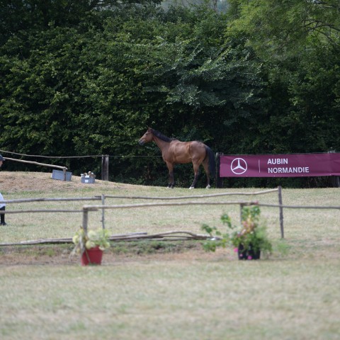 18 - Pro 1 Grand Prix 1m45