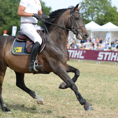 18 - Pro 1 Grand Prix 1m45