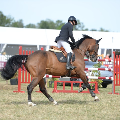 18 - Pro 1 Grand Prix 1m45