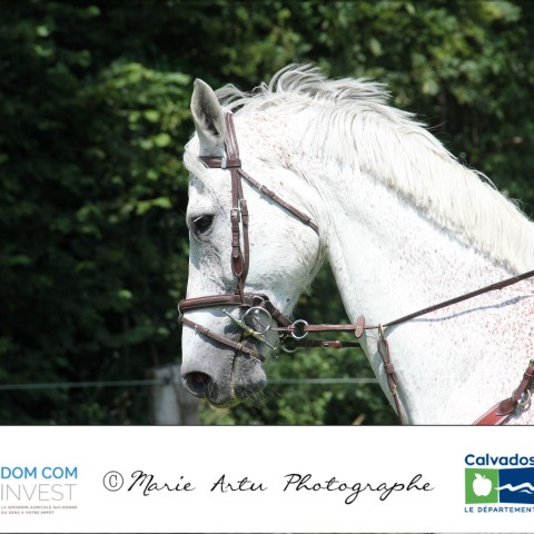 Prépa 100