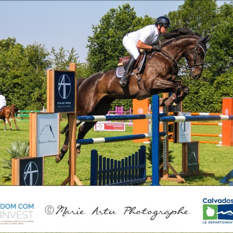 5. Grand Prix 130 (Pro) - 2018