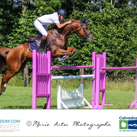 Grand Prix Pro 130 cm