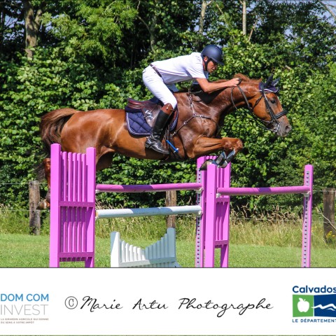 Grand Prix Pro 130 cm