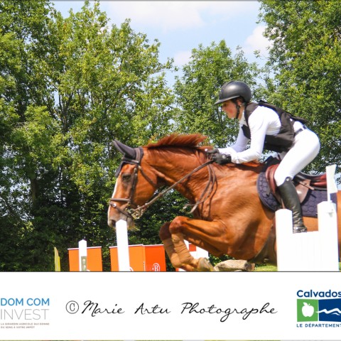 Grand prix 115