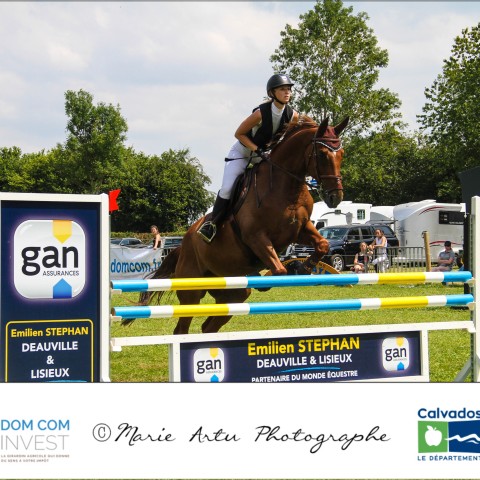 Grand prix 115
