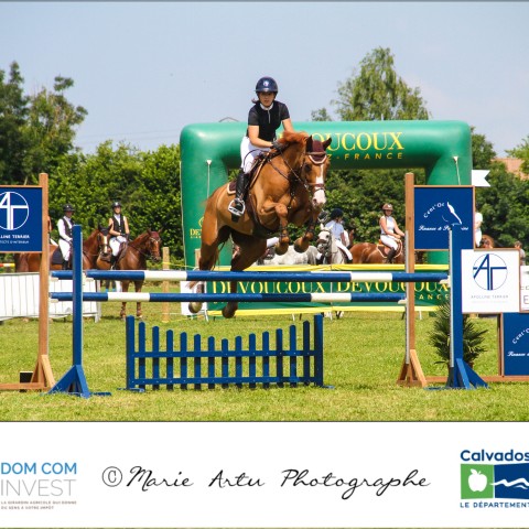 Grand prix 115