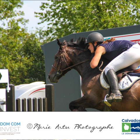 Grand prix 115