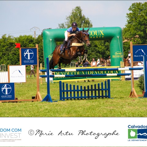 Grand prix 115