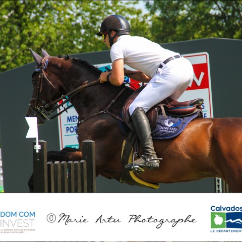 Grand prix 115