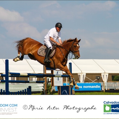 Grand prix 115
