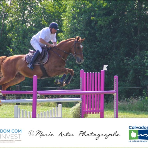 Grand prix 115