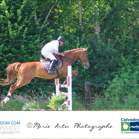 Grand prix 115
