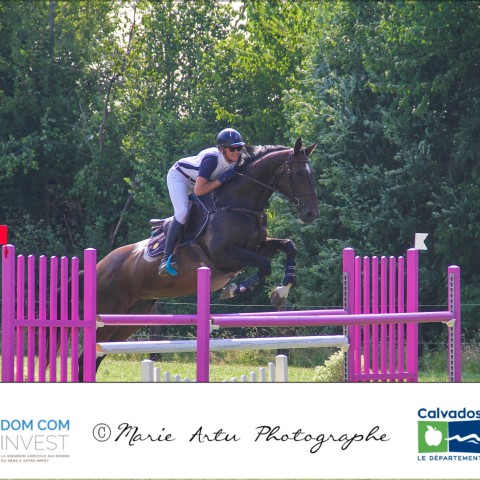 Grand prix 115