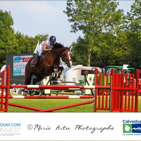 Grand prix 115