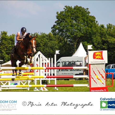 Grand prix 115