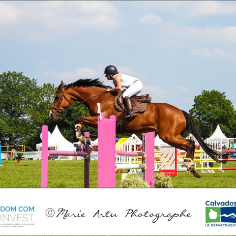 Grand prix 115