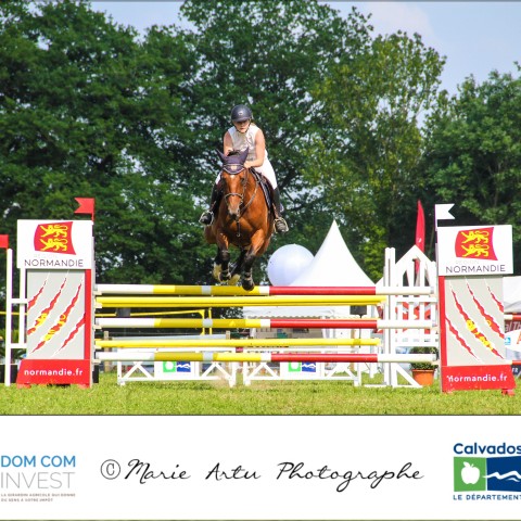 Grand prix 115