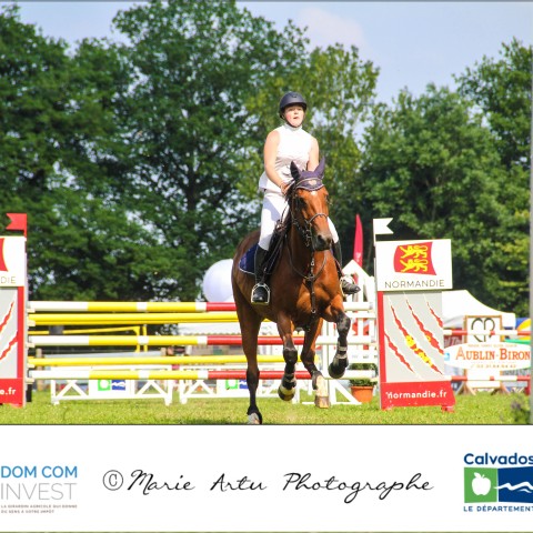 Grand prix 115