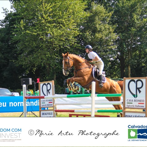 Grand prix 115