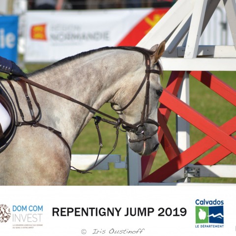 15. Grand Prix 105 - 2019