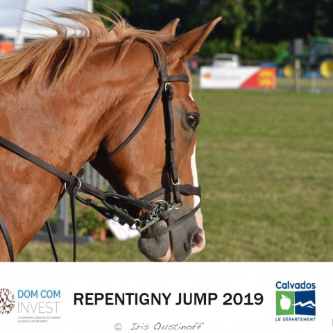15. Grand Prix 105 - 2019